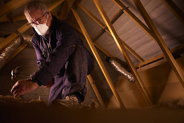 Types of Insulation We Offer in University Heights, OH